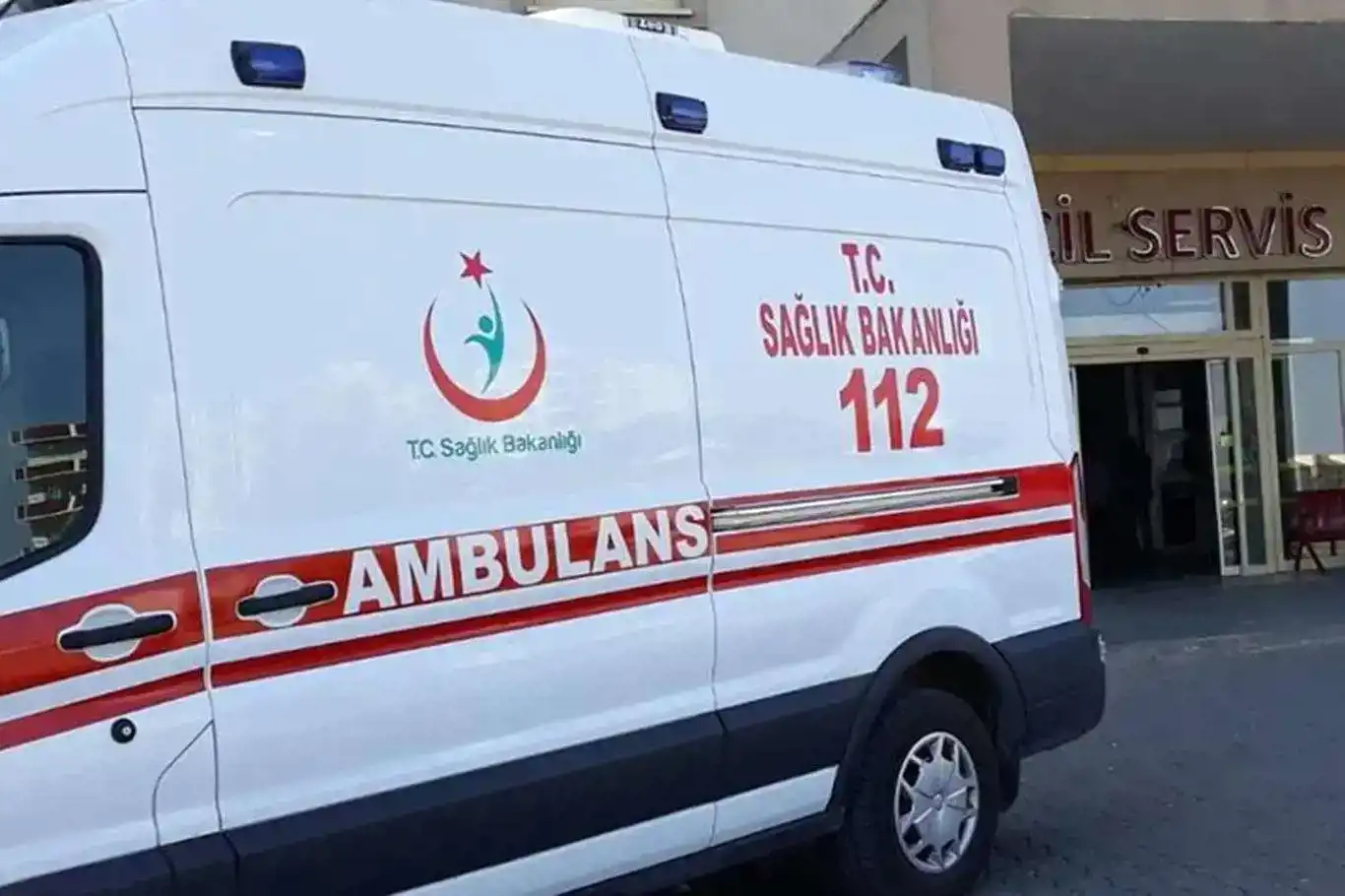 Ayı saldırısına uğrayan kişi ağır yaralandı