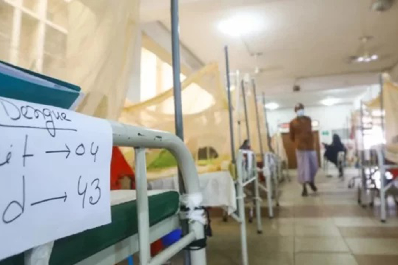 Bangladeş'te dang humması salgını:  618 ölü