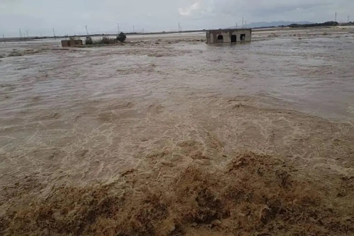 Cezayir’de şiddetli yağışların yol açtığı selde 7 kişi hayatını kaybetti