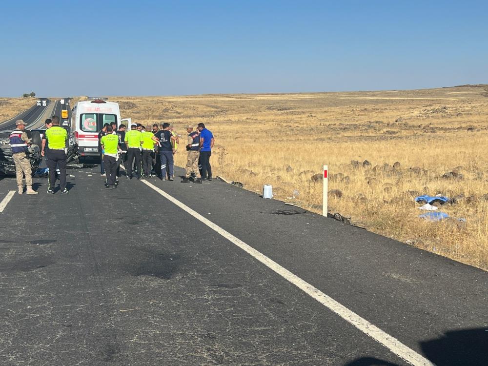 Ergani yolunda can pazarı