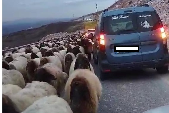 Yolu trafiğe kapattılar!