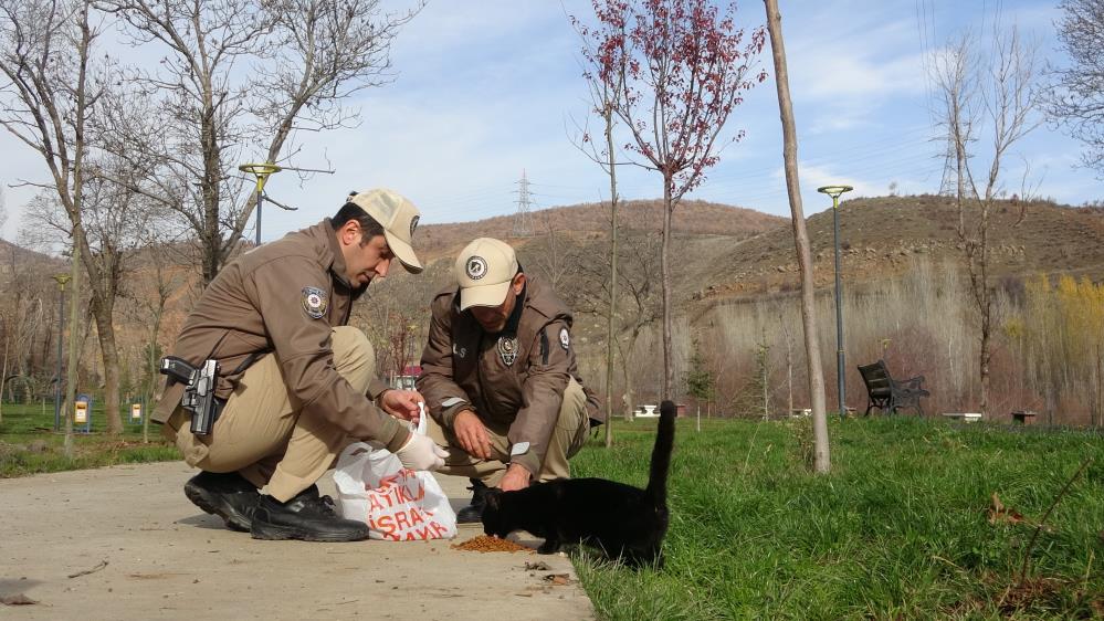 HAYDİ ekipleri can dostları unutmuyor