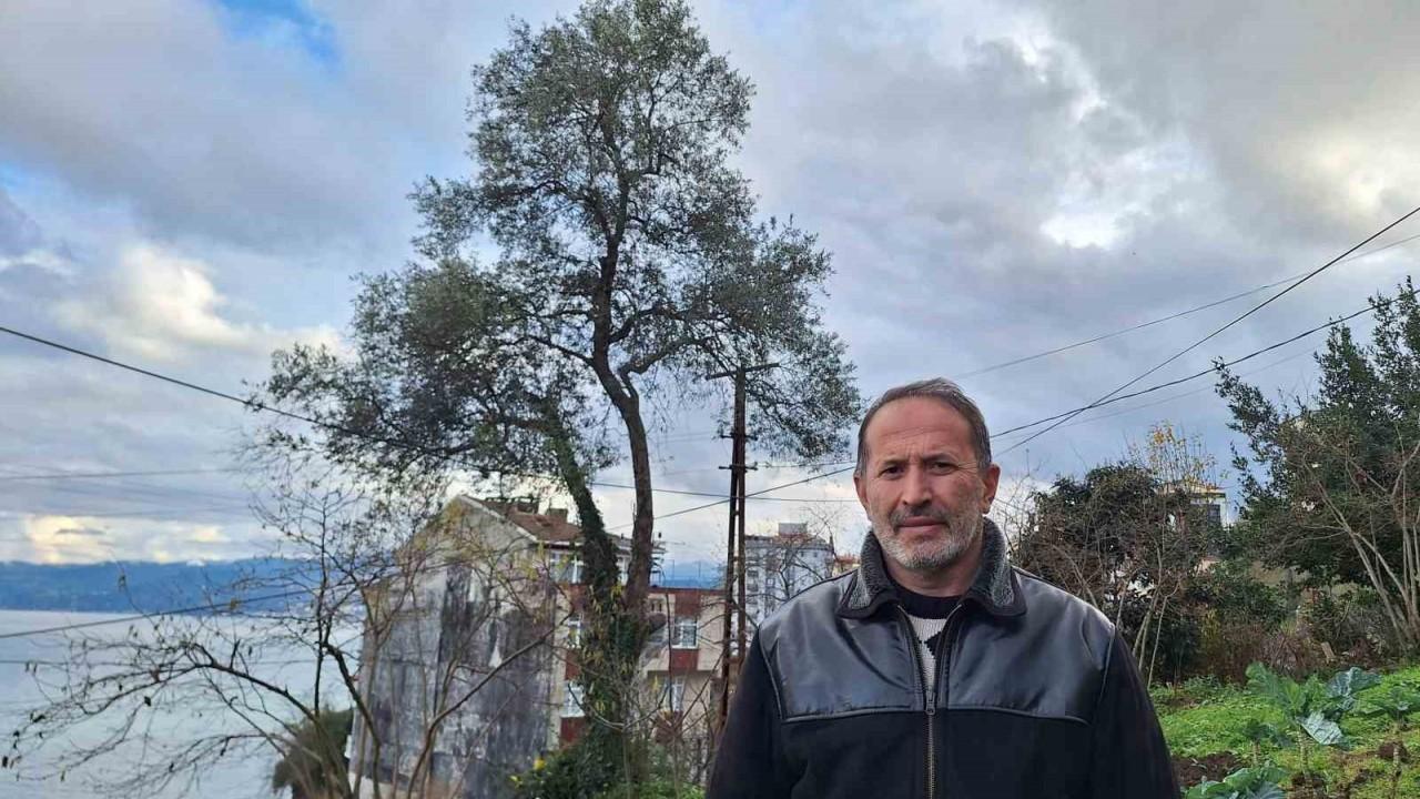 Y&uuml;zlercesi vardı, tek bir tane kaldı