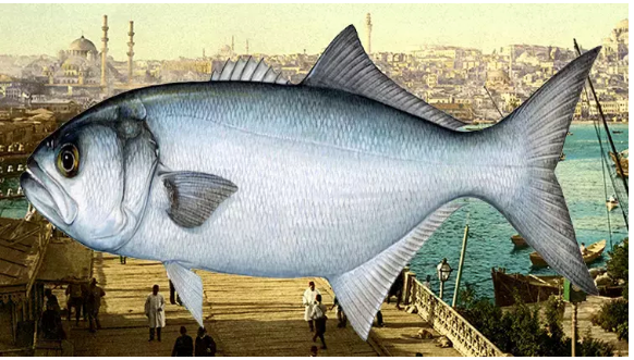 L&uuml;fer coğrafi işaret tescili aldı