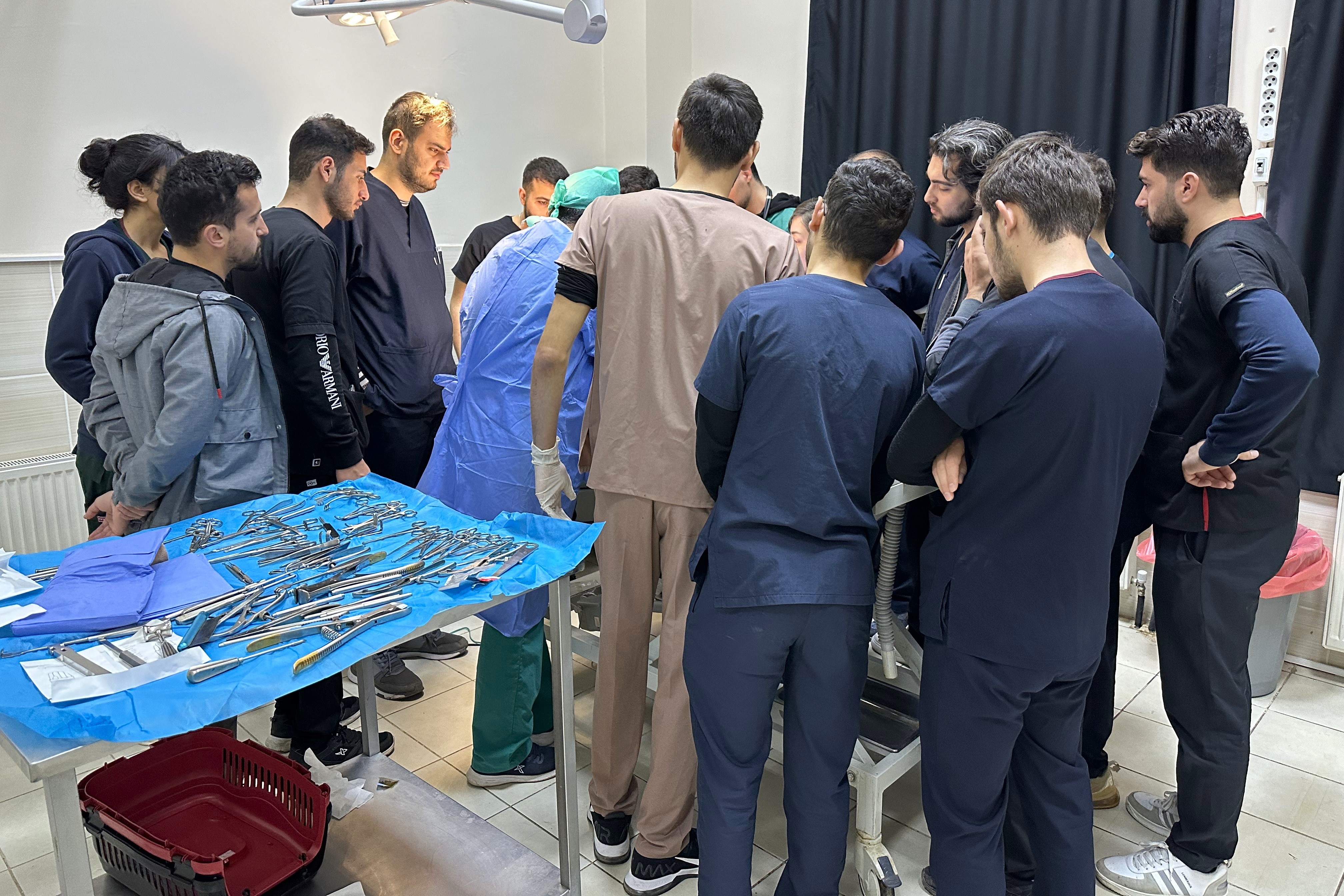 8 santimlik taş insandan değil, 10 yaşındaki ‘Fındık’ isimli köpekten çıktı