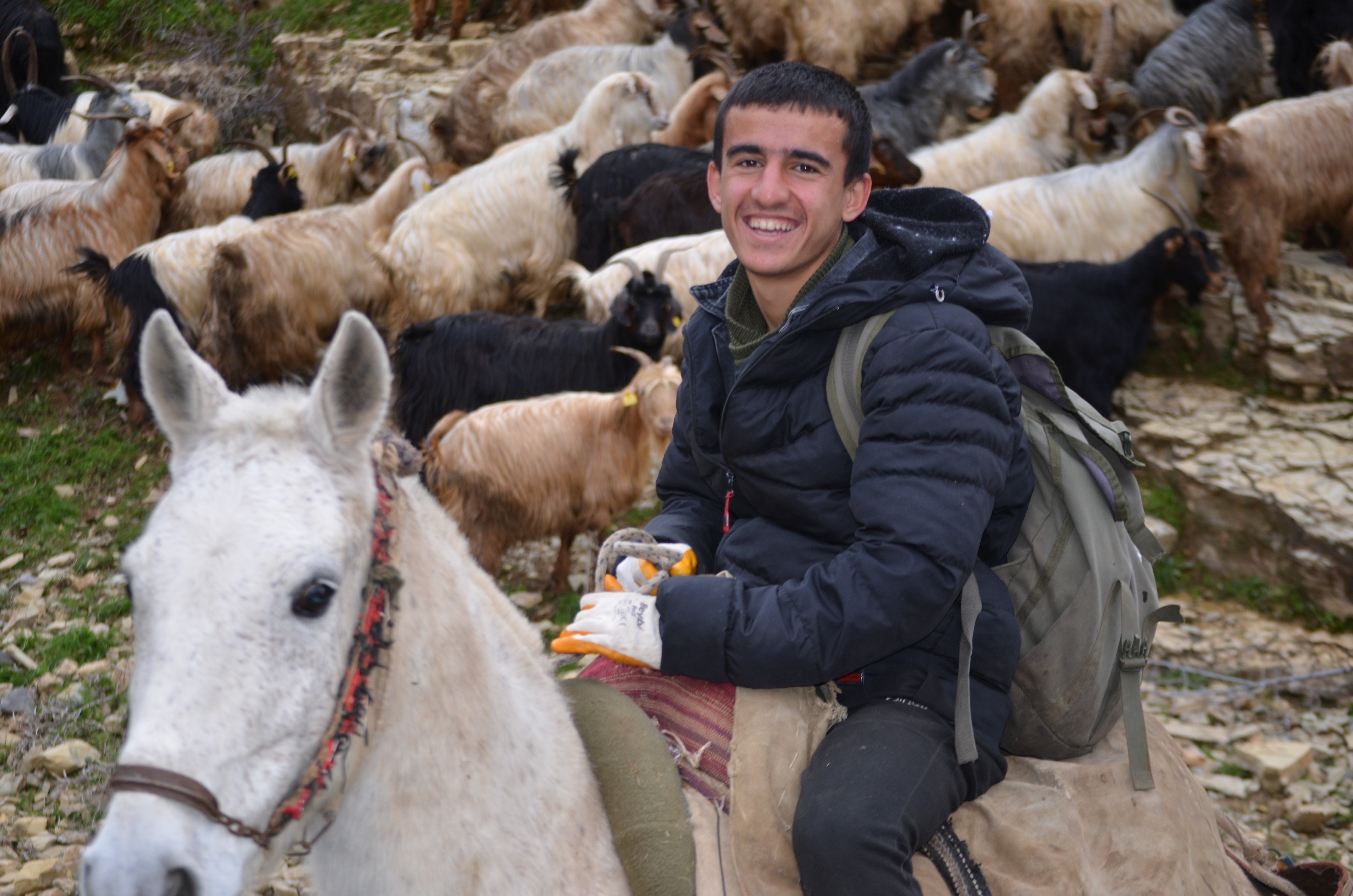 Beklenmedik Bahar: Çobanları Dağa İtti!