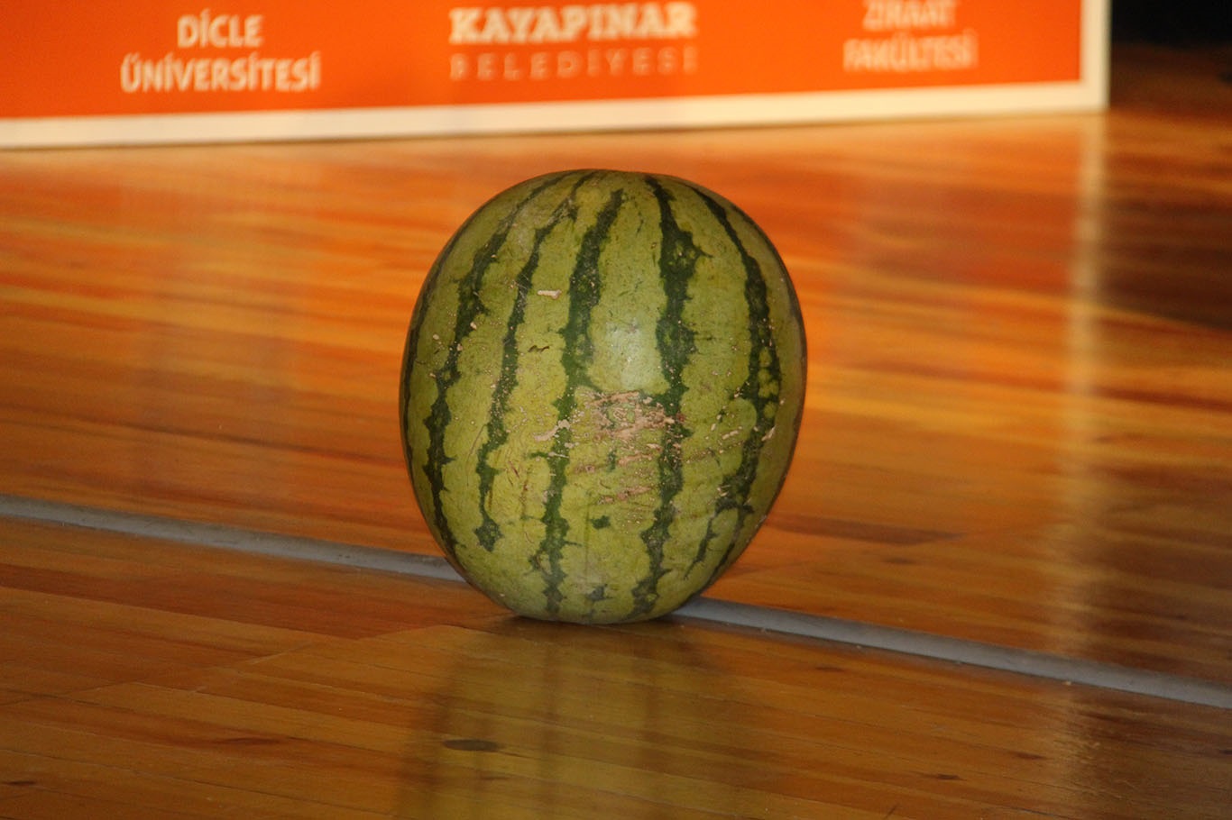 Kapuz12