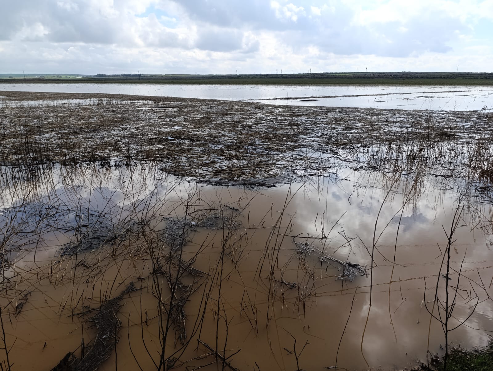 Şiddetli Yağışlar Tarım Arazisini Göl Haline Getirdi!