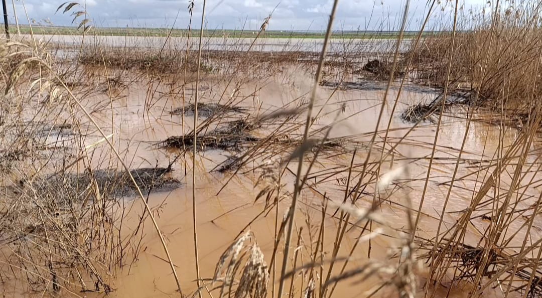 Şiddetli Yağışlar Tarım Arazisini Göl Haline Getirdi!