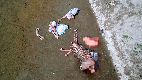 Adana da insan sağlığını tehdit eden görüntüler!