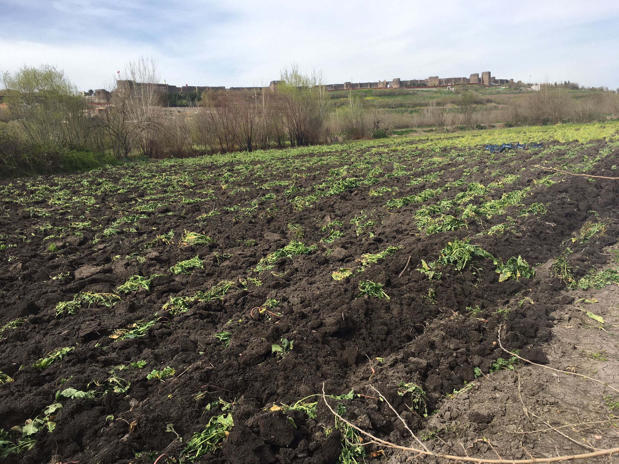 Whatsapp Image 2024 04 04 At 1.55.55 Pm (4)