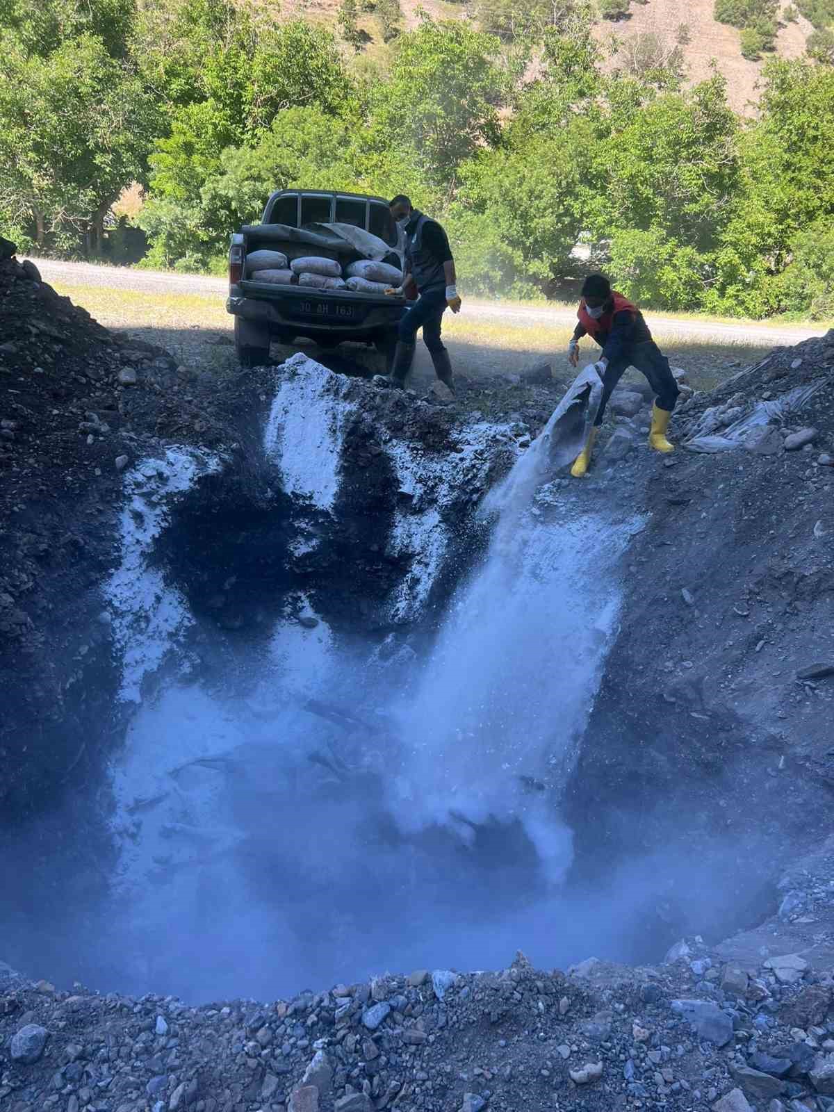 Kazada telef olan hayvanlar g&ouml;m&uuml;ld&uuml;