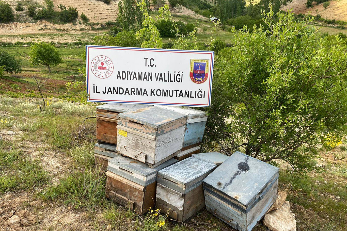 Arı kovanı &ccedil;alan şahıs yakalandı