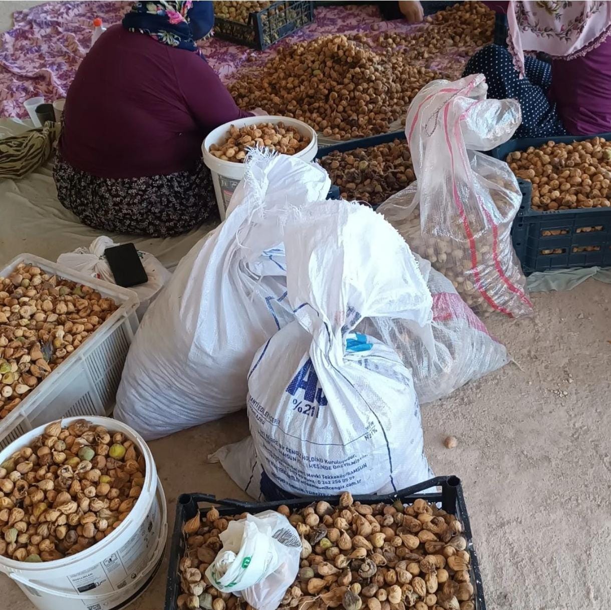 Whatsapp Image 2024 09 16 At 11.13.54