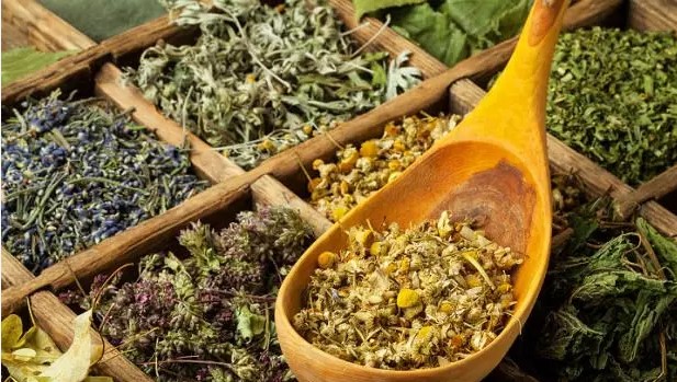 Aktarcılara akın başladı