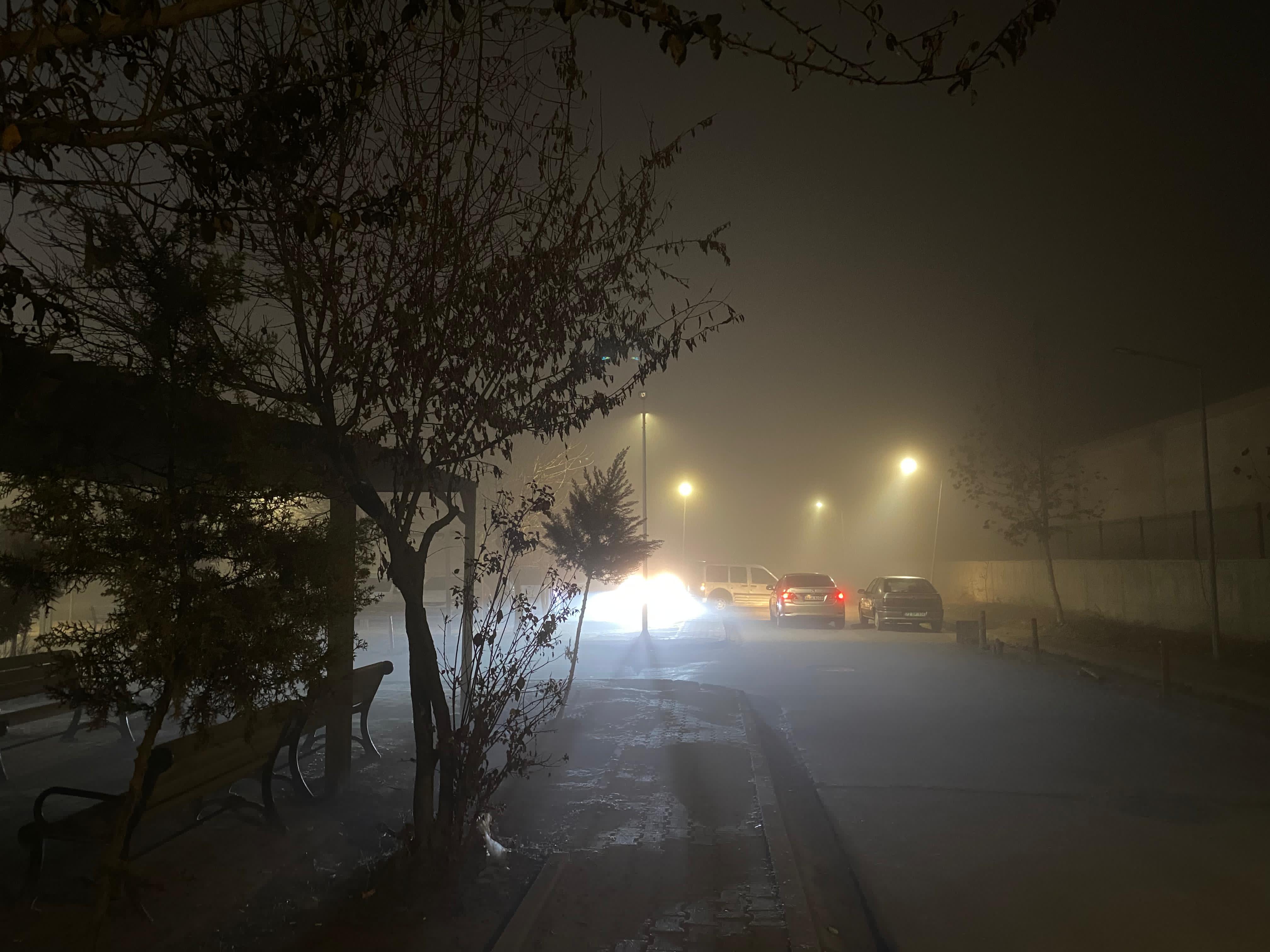 Diyarbakır Bismil’de Yoğun Sis Hayatı Olumsuz Etkiliyor (8)