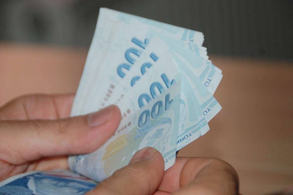 'Uzman Eller Projesi' hibe tutarı 250 bin TL'ye çıkarıldı