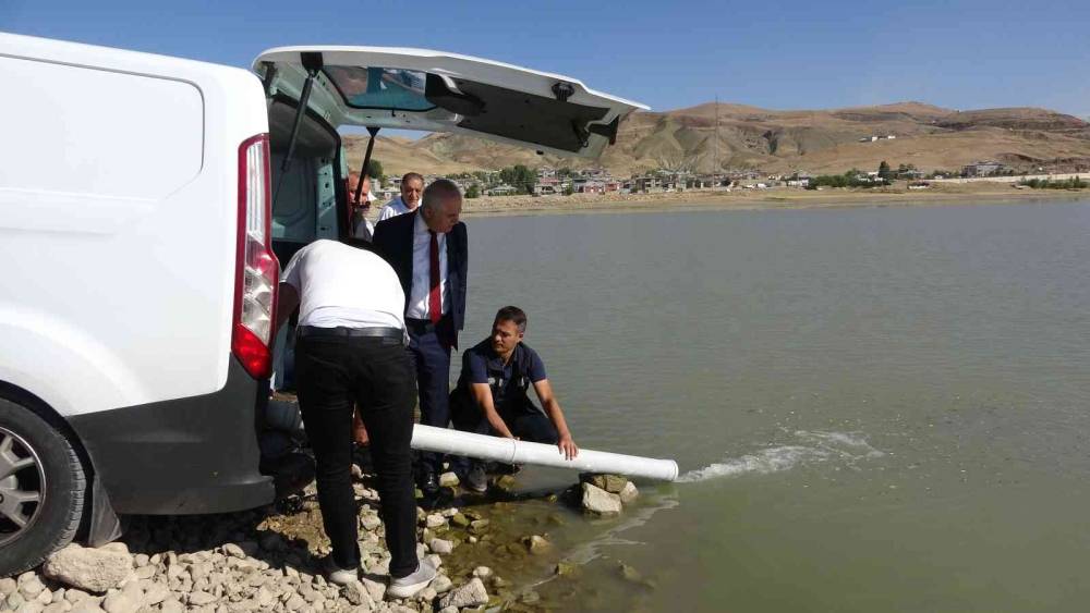 Van’da 1 milyon balık göllere bırakıldı