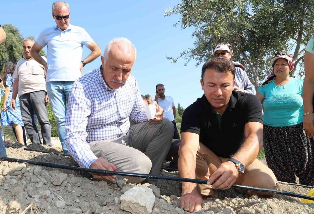 Şifalı bitki olarak bilinen ’şevketi bostan’ tohumları Akdeniz’de toprakla buluştu