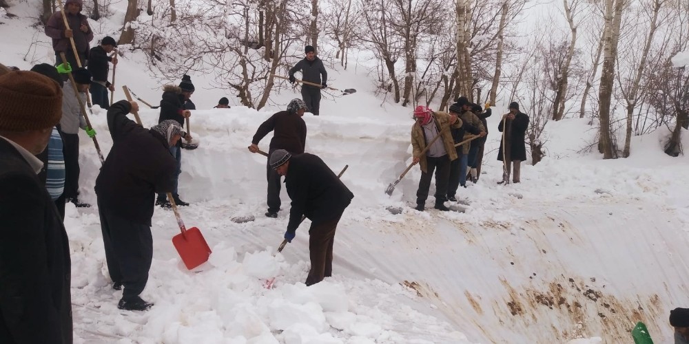 Karın ağırlığına dayanamayan ahır çöktü: 6 hayvan telef oldu