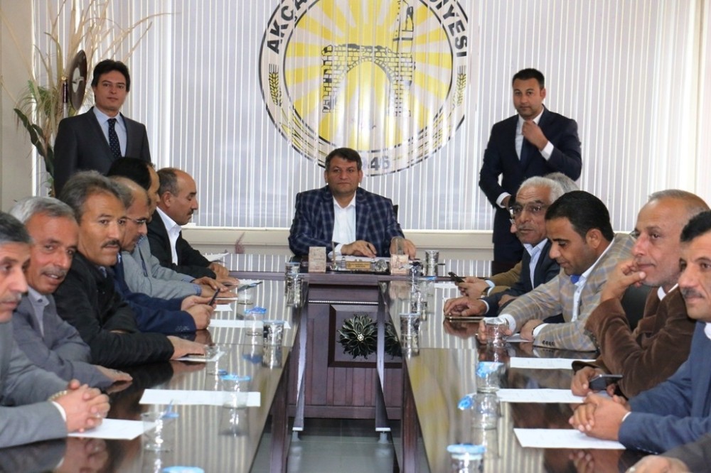 Suriye sınırındaki mahalleye Zeytin Dalı ismi verildi