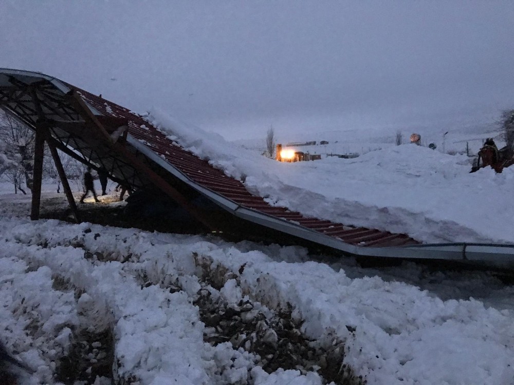 Çöken ahırın içindeki 50 hayvan iş makinesiyle kurtarıldı