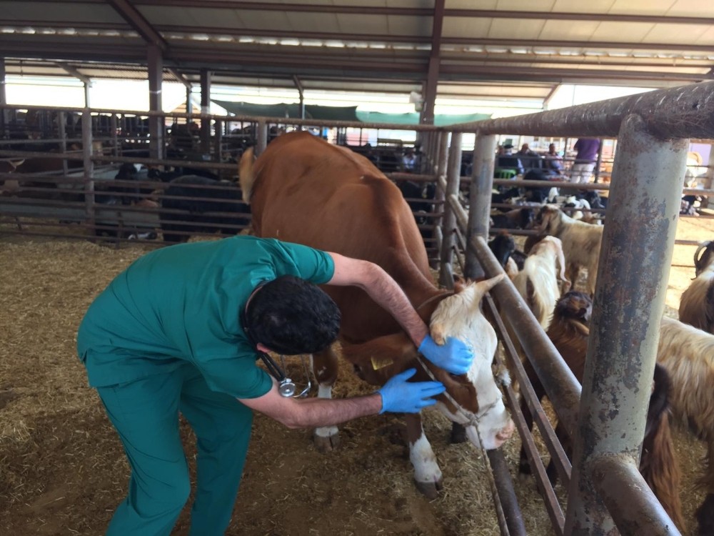 Adıyaman Belediyesinden bayram hazırlığı