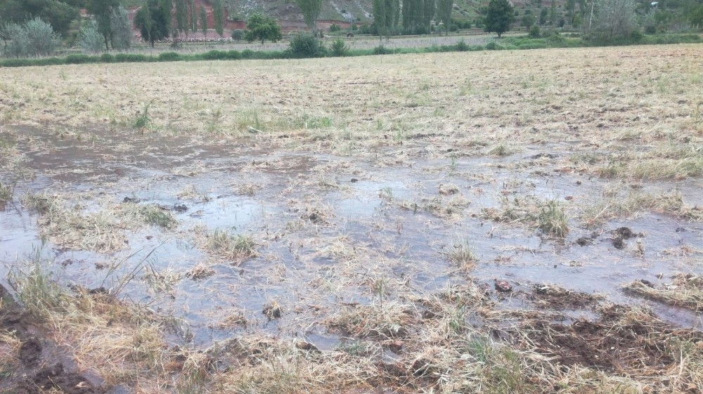 Taşan dere arazileri sular altında bıraktı
