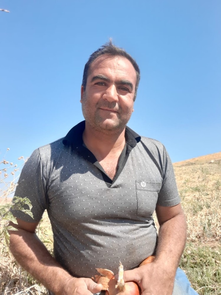Soğan tarlada 30 kuruş, markette 2 buçuk lira