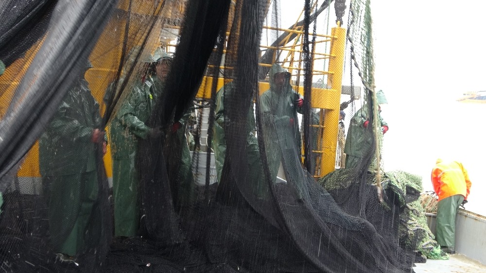 Balıkçının zorlu av mesaisi