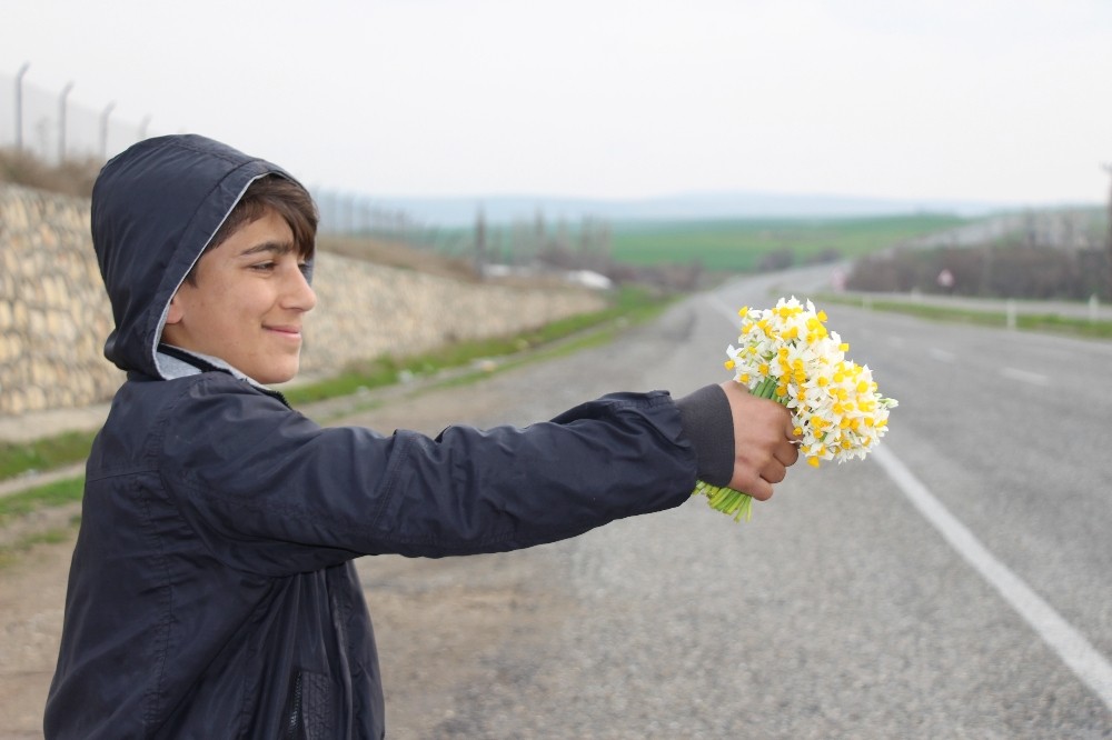 Silvan’da okul harçlıklarını nergis satarak kazanıyorlar