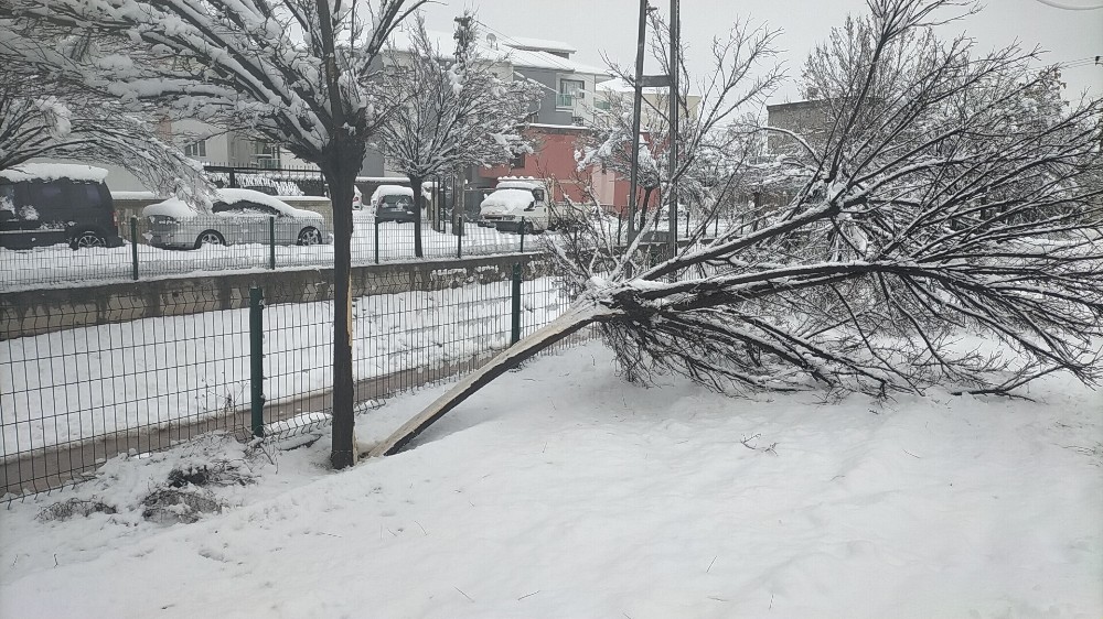 Kar yağışı elektrik direklerini devirdi