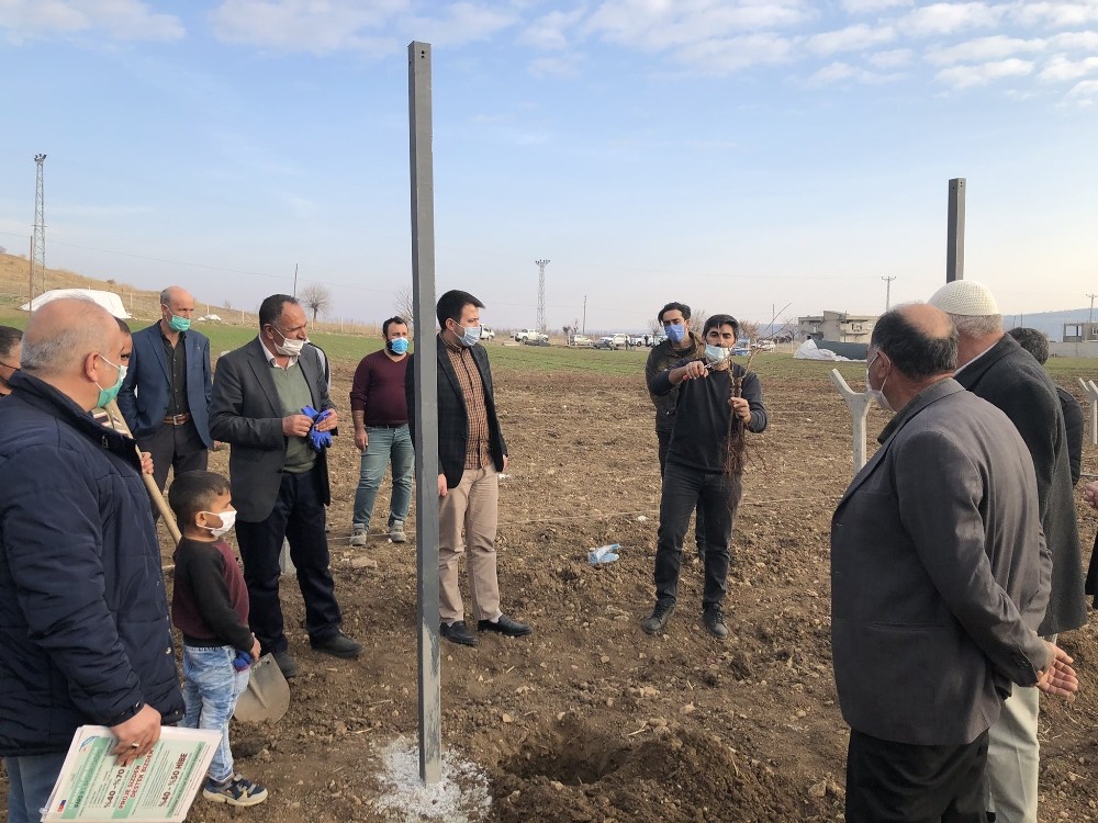 Dicle’de organik bağcılık yaygınlaşıyor