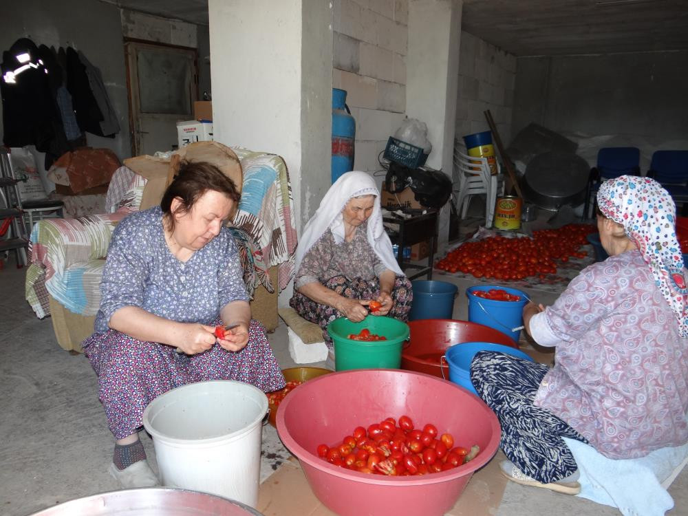 Ev ekonomisine salça katkısı