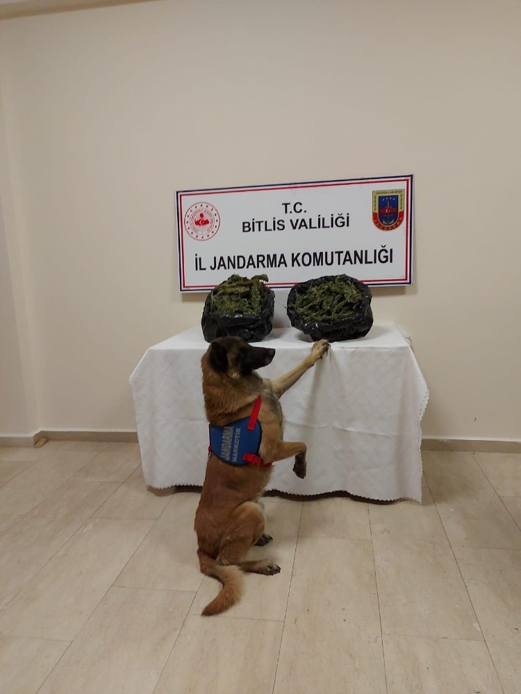 Mutki ve Güroymak’ta uyuşturucu operasyonu