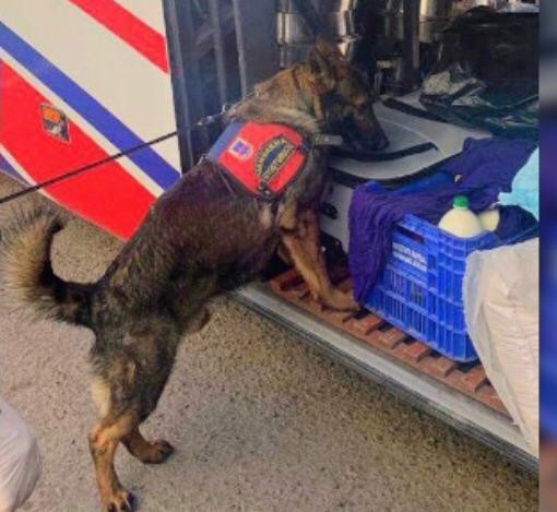 Mardin’de yolcu otobüsünde uyuşturucu ele geçirildi