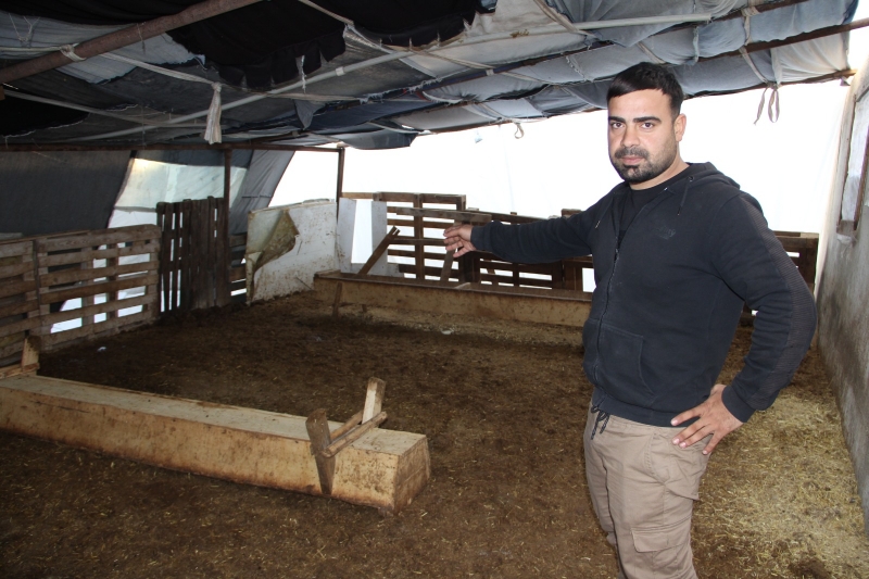 Gece geldiler, 57 kuzuyu çalıp kayıplara karıştılar