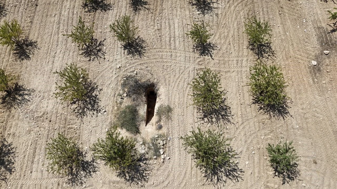 Fıstık tarlasından binlerce yıllık kaya mezarı çıktı