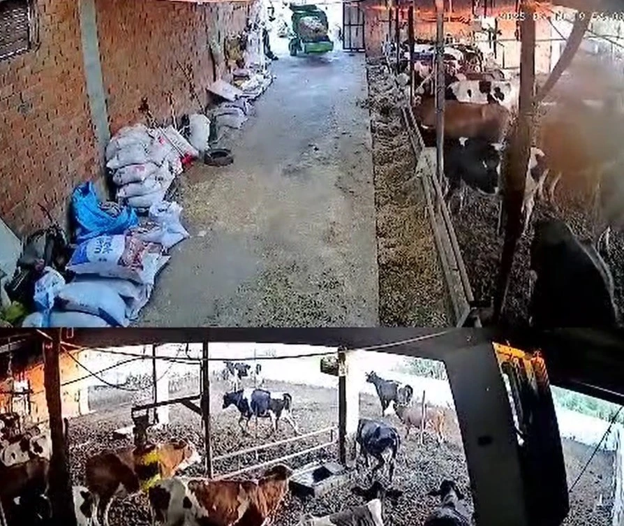 Balıkesir Sındırgı’da 4.0 Büyüklüğünde Deprem