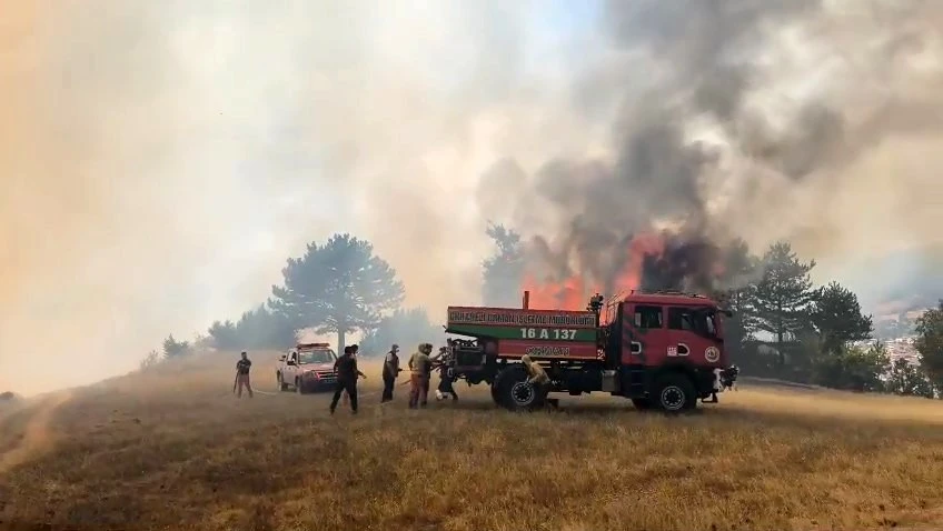 Bursa Orhaneli’de orman yangını