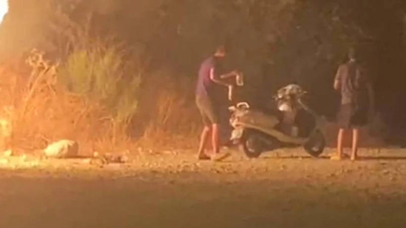 Ormanı yakıp kaçtılar!