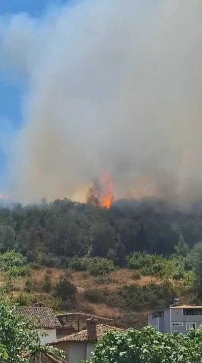 Orman yangının alevler evlere sıçradı... Gözyaşları içinde tahliye edildiler