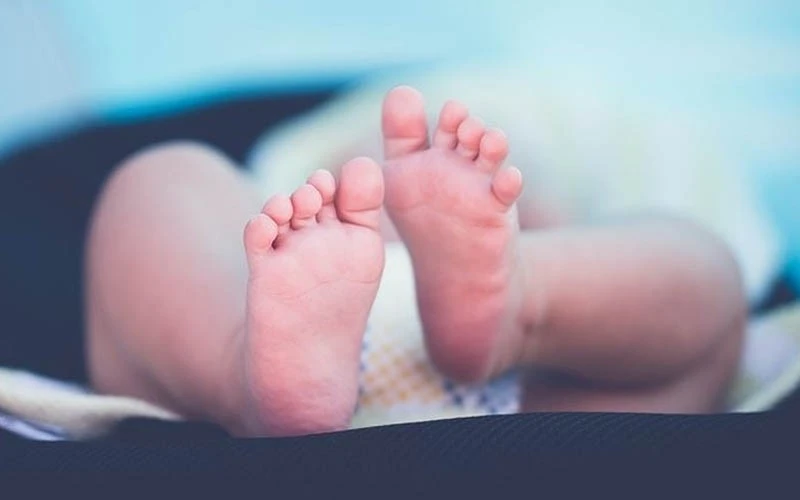 'Türkiye İçin Felakettir' Demişti: Üç İlde Çalışma Başlatılacak!