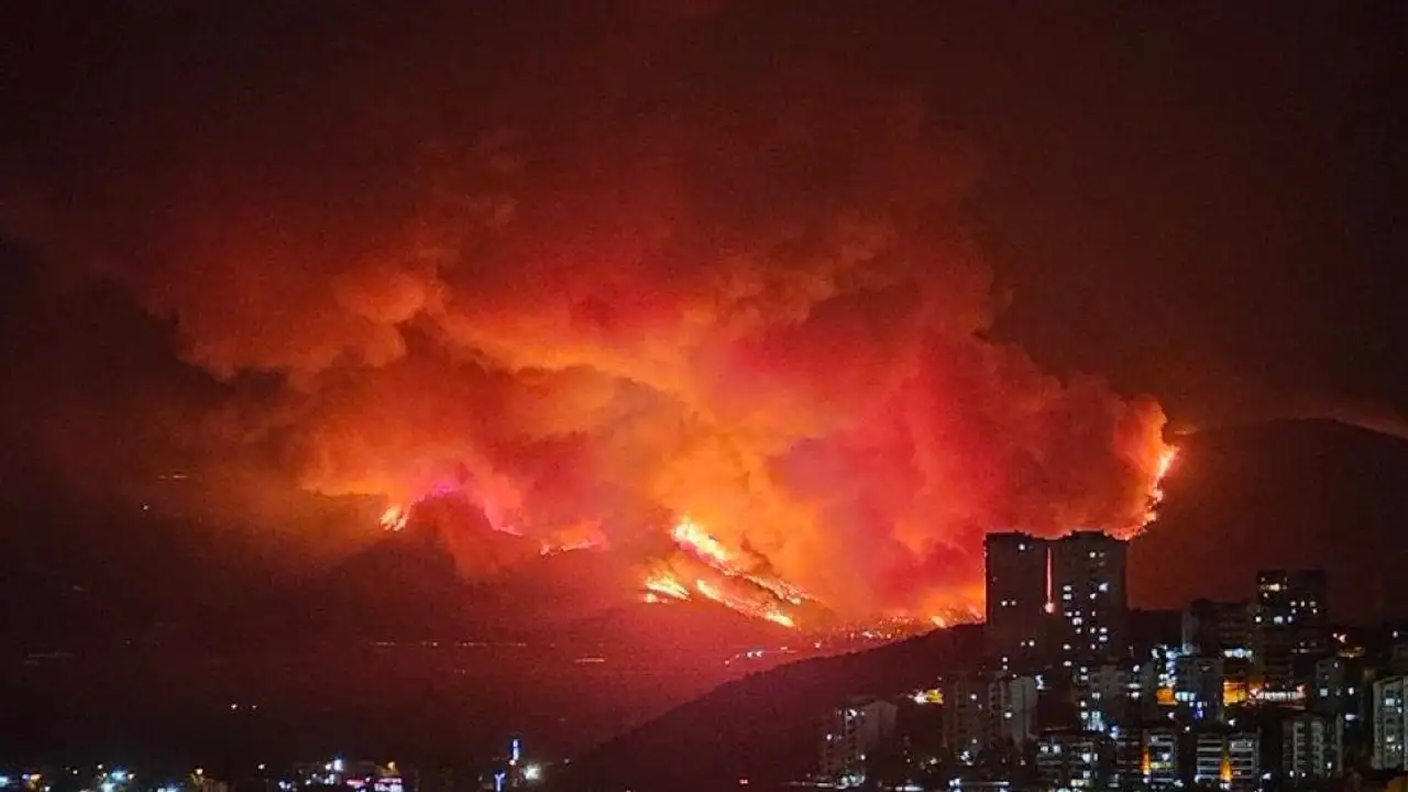 Diyarbakır'ın Silvan İlçesindeki orman yangını etkili müdahale ile söndürüldü
