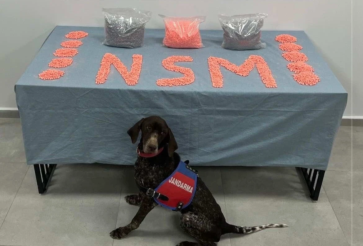 Jandarma narkotik ekipleri zehir tacirlerine göz açtırmıyor