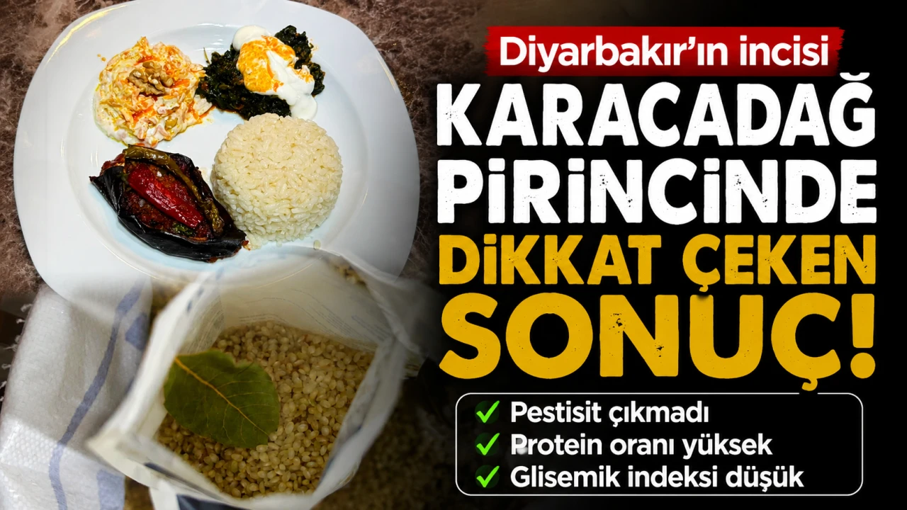 Karacadağ Pirinci İçin Dikkat Çeken Sonuç