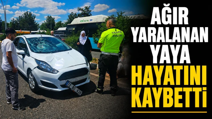 Ağır Yaralanan Yaya Hayatını Kaybetti