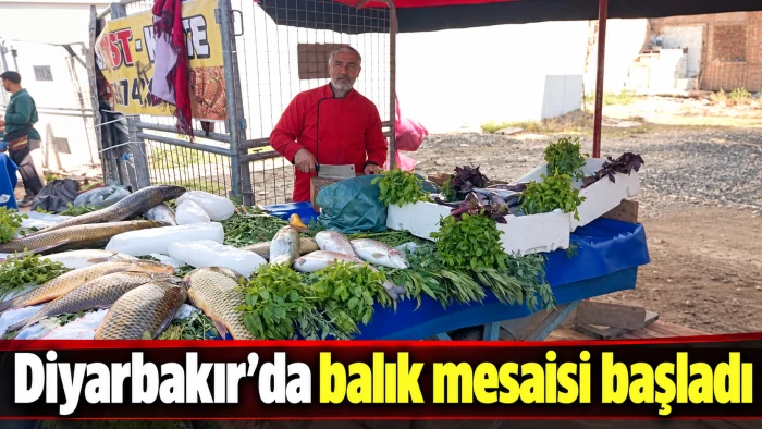 Diyarbakır’da balık mesaisi başladı