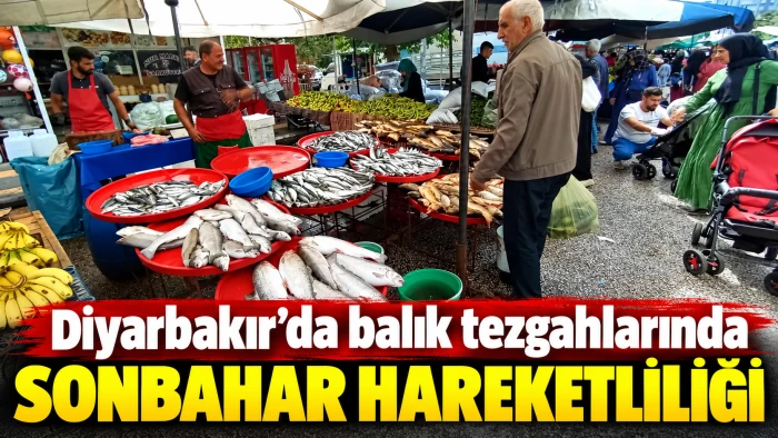 Diyarbakır&rsquo;da balık tezgahlarında sonbahar hareketliliği