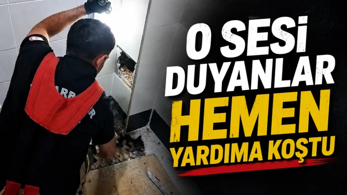 Diyarbakır&rsquo;da Havalandırma Boşluğunda Mahsur Kalan Yavru Kedi Kurtarıldı